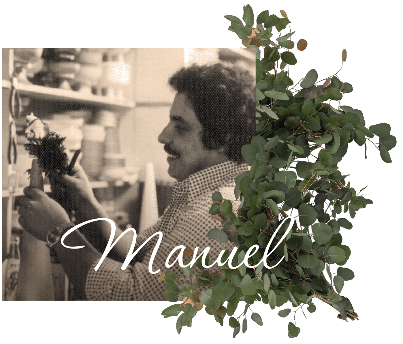 Manuel Botelho