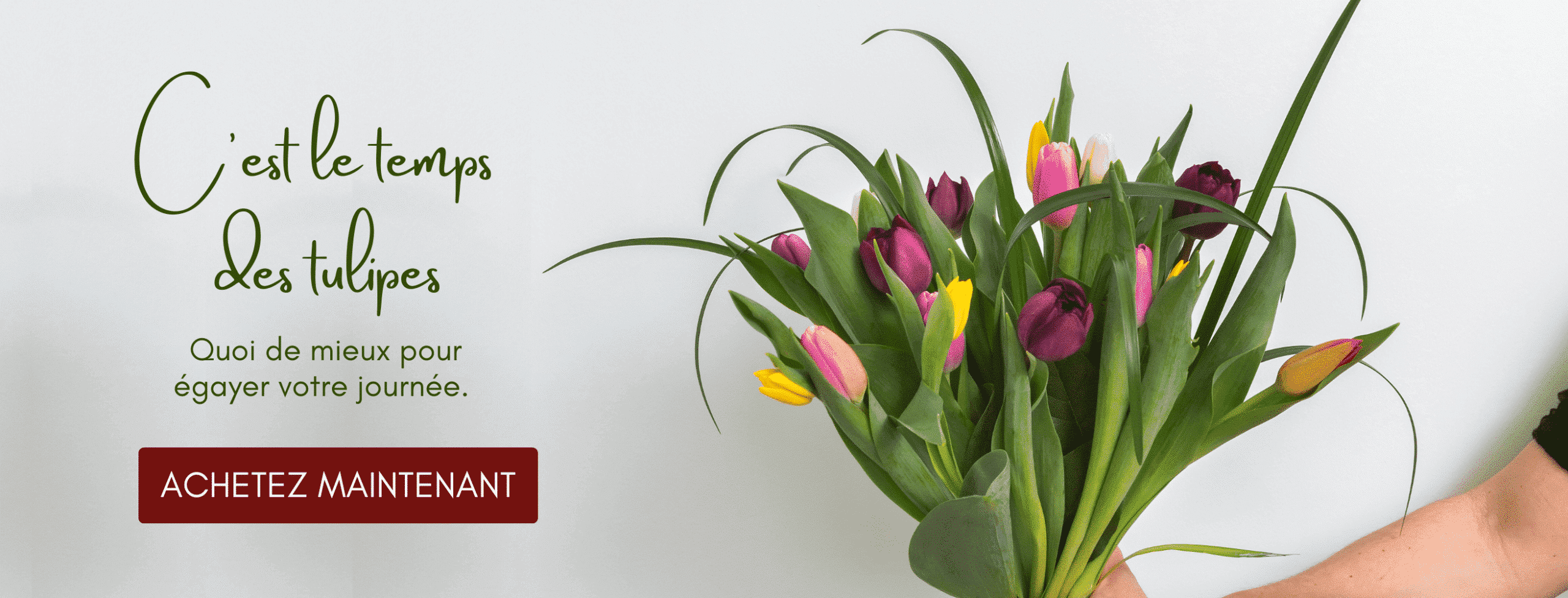 Spring French destop