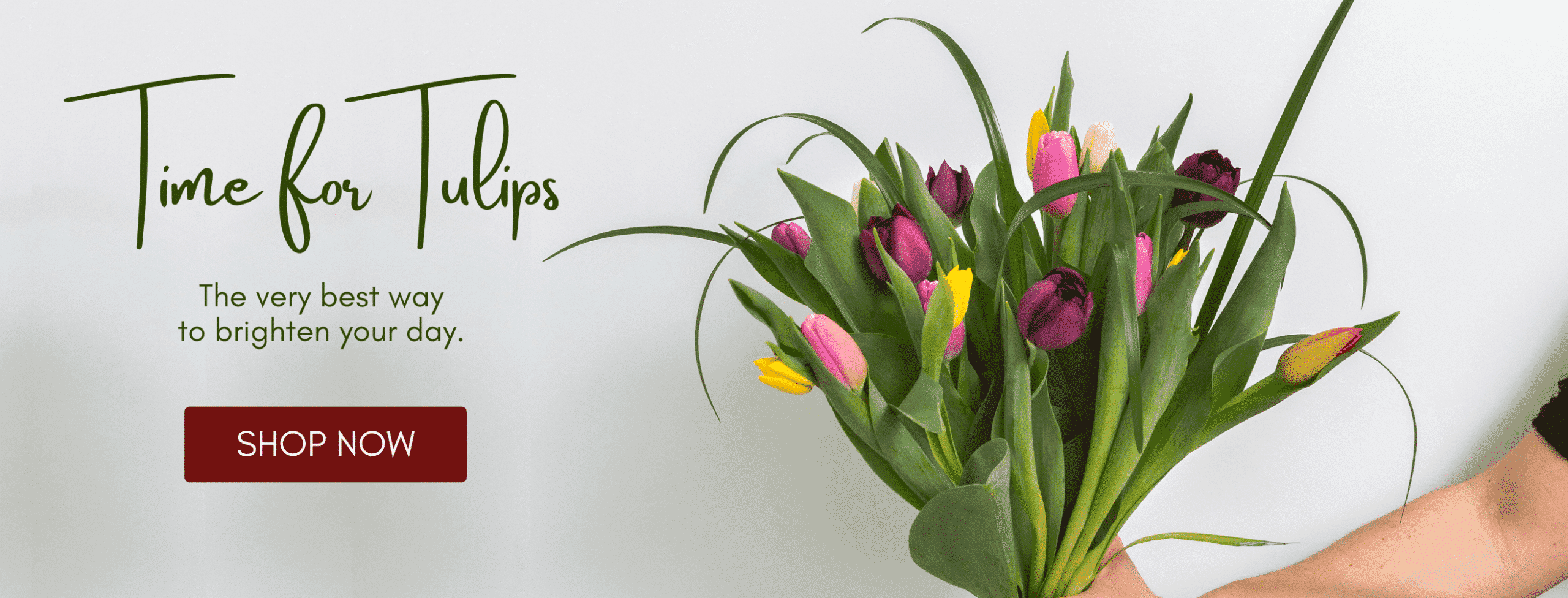 Spring English destop