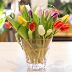 Spring Tulip Bouquet