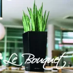 Maxi Cubi-Cubico Premium 14