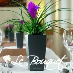 Mini Cubi-Cubico Premium 9