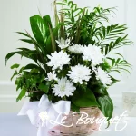 The FTD Peaceful Garden Basket