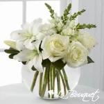 Bénédictions spéciales