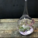 Filles de l'air pour maman