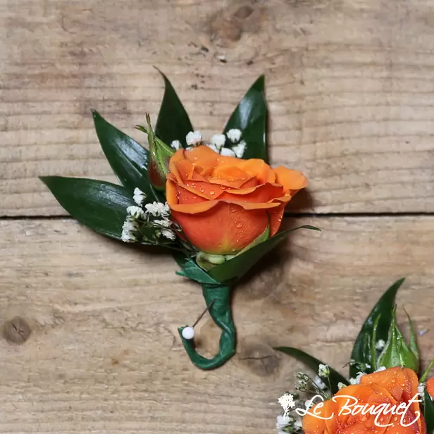 Spray Rose Boutonniere (Standard, Orange, Gypsophila)