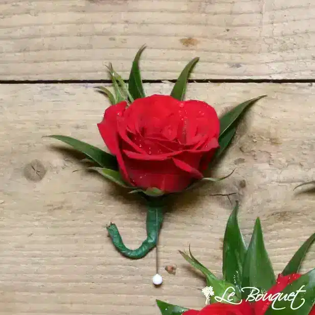 Spray Rose Boutonniere (Standard, Red, GREEN)