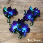 Boutonnière orchidées dendrobium