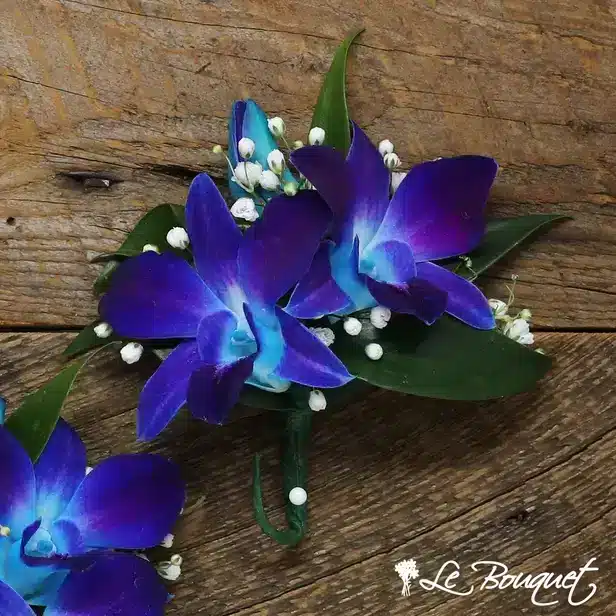 Dendrobium Boutonniere (Deluxe, Blue, Gypsophila)