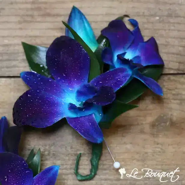 Dendrobium Boutonniere (Deluxe, Blue, Greens Only)