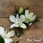 Boutonnière orchidées dendrobium