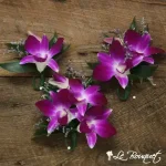 Boutonnière orchidées dendrobium