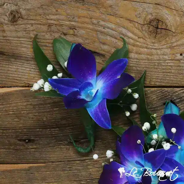 Dendrobium Boutonniere (Standard, Blue, Gypsophila)