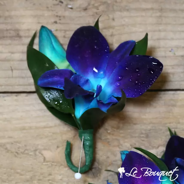 Dendrobium Boutonniere (Standard, Blue, Greens Only)