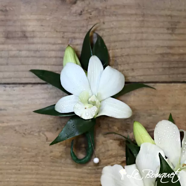 Dendrobium Boutonniere (Standard, White, Greens Only)