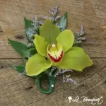 Cymbidium Orchid Boutonniere Collection (Deluxe, Green, Caspia)