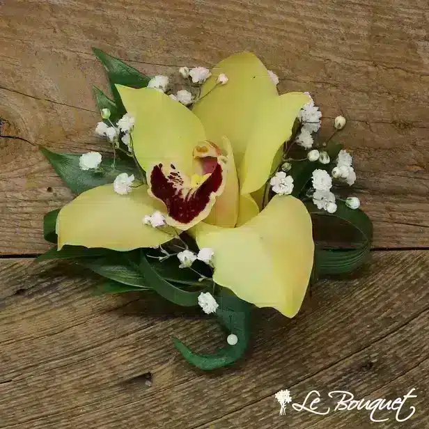 Cymbidium Orchid Boutonniere Collection (Deluxe, Yellow, Gypsophila)