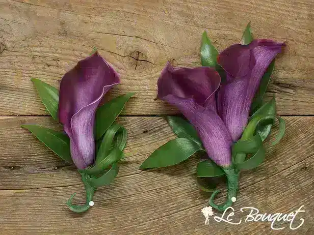 Calla Lily Boutonniere (Purple, Deluxe, Greens Only)
