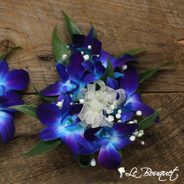 Dendrobium Orchid Corsage (Deluxe, Blue, Gypsophila)