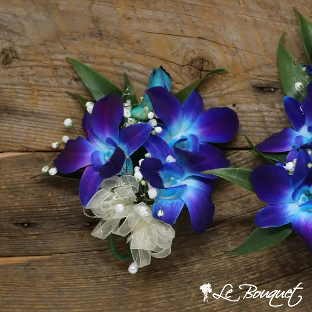 Dendrobium Orchid Corsage (Standard, Blue, Gypsophila)