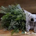 The Eucalyptus Tree