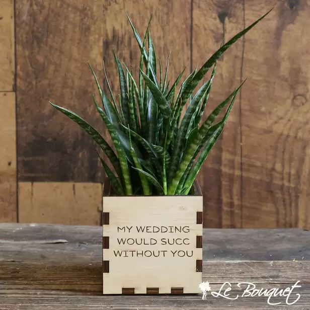 Custom Sansevieria Punk Planter (Deluxe, Wood, Customized)