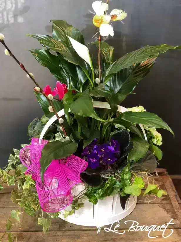 Springtime Basket (White, Deluxe)
