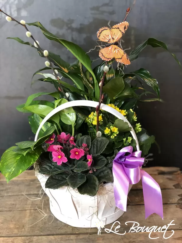 Springtime Basket (White, Standard)