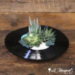 Jardin de succulentes ''Vinyle''