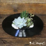 Jardin de succulentes ''Vinyle''