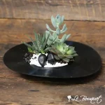 Jardin de succulentes ''Vinyle''