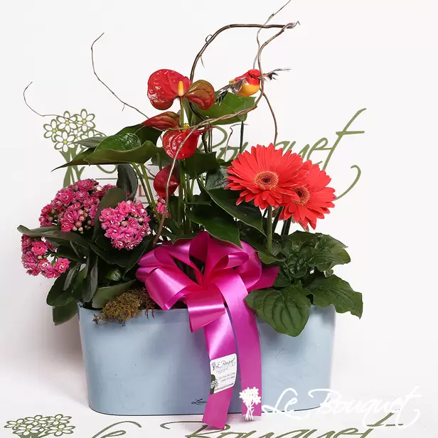 Splendid Garden Planter with Lechuza in Charcoal (Blue, Standard)