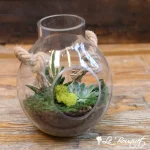 Terrarium suspendu