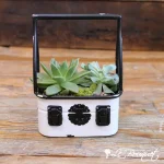 Boîte à outils verte