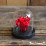 Mini Rose Éternelle