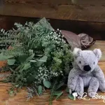The Eucalyptus Tree