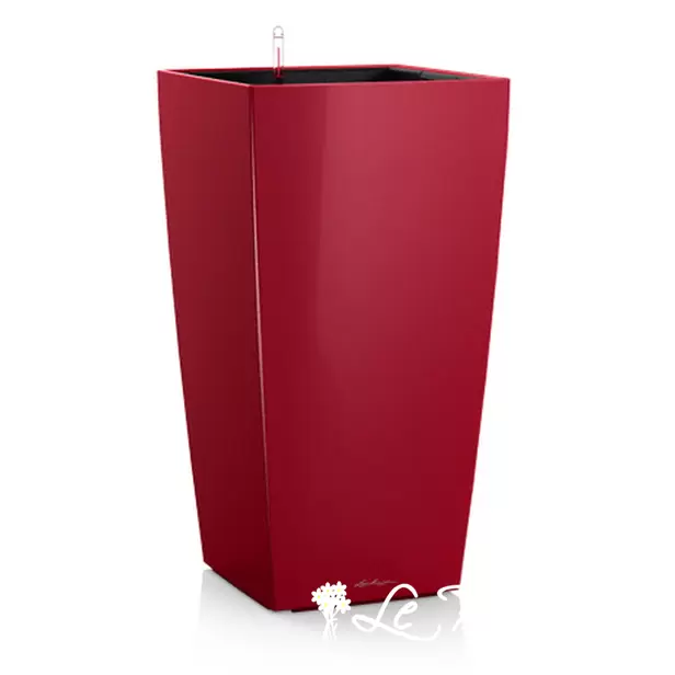 Cubico Premium 50 (Standard, CUBICO 50 scarlet red high-gloss (18163))