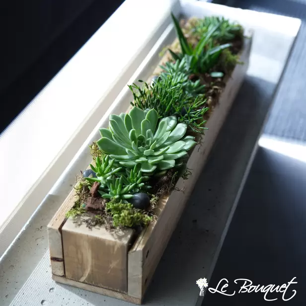 WOODAZNU Succulent garden (Premium)