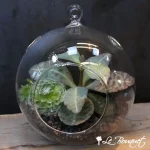 Succulent Bubble Bowls