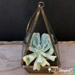 Succulent Pyramid