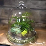 Terrarium à plantes vertes