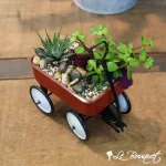 Wagon de succulents