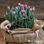 Tulip Crate (Standard, Pink)