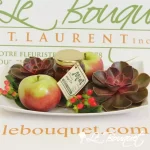 Succulent Apples Arrangement