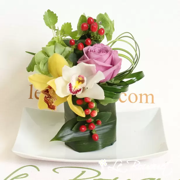 Wrapped Exotic Splendor (Assorted, Premium, As Is)