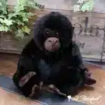 Uma Gorilla