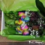 Rainbow Roses