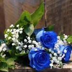 Blue Roses
