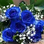 Blue Roses