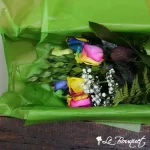 Rainbow Roses